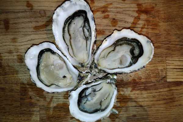 Huitres-le-cain-Noirmoutier-06